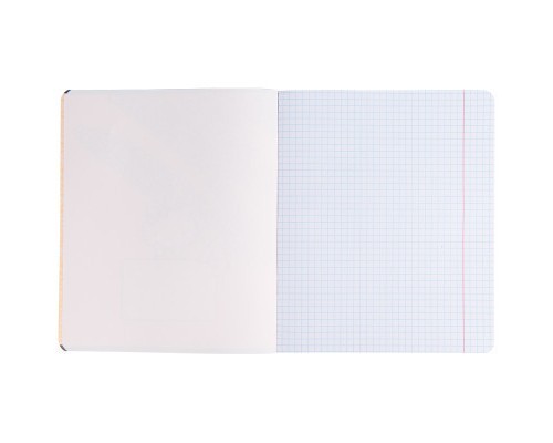 Зошит Kite Hello Kitty 48 аркушів, клітинка (HK23-259)