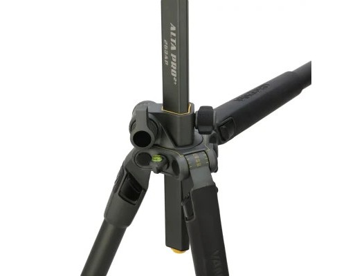 Штатив Vanguard Alta Pro 2+ 263AP (DAS301020)