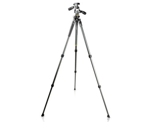 Штатив Vanguard Alta Pro 2+ 263AP (DAS301020)