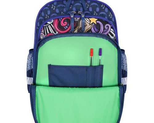 Рюкзак шкільний Bagland Mouse 225 синій 614 (00513702) (85267826)