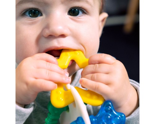 Прорізувач Baby Einstein Sea of Sensory (13158) Прорізувач Baby Einstein Sea of Sensory (13158)
