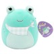 М'яка іграшка Squishmallows Жабка Нові 19 см (SQER01230)