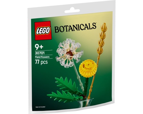 Конструктор LEGO Botanicals Польові квіти (30701)