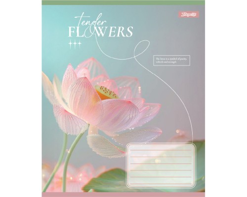 Зошит 1 вересня Tender Flowers А5 24 аркушів клітинка (768076)