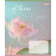 Зошит 1 вересня Tender Flowers А5 24 аркушів клітинка (768076)