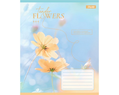 Зошит 1 вересня Tender Flowers А5 24 аркушів клітинка (768076)