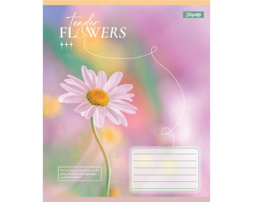 Зошит 1 вересня Tender Flowers А5 24 аркушів клітинка (768076)