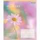 Зошит 1 вересня Tender Flowers А5 24 аркушів клітинка (768076)