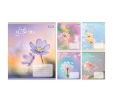 Зошит 1 вересня Tender Flowers А5 24 аркушів клітинка (768076)