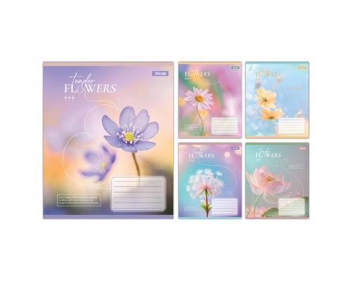 Зошит 1 вересня Tender Flowers А5 24 аркушів клітинка (768076)