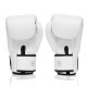 Боксерські рукавички Fairtex BGV1-ONE (натуральна шкіра) White 14 унцій (бинти в комплекті) (BGV1-ONE_14oz_White)