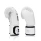 Боксерські рукавички Fairtex BGV1-ONE (натуральна шкіра) White 14 унцій (бинти в комплекті) (BGV1-ONE_14oz_White)