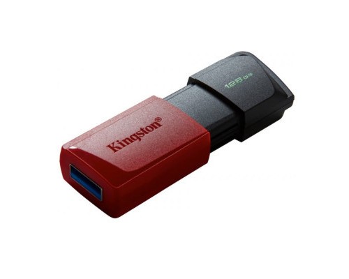 USB флеш накопичувач Kingston 128GB DataTraveler Exodia M USB 3.2 (DTXM/128GB) 