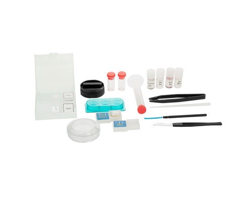 Мікроскоп Sigeta Poseidon 100x, 400x, 900x (65902)