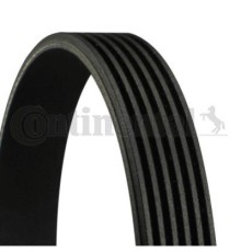 Поліклиновий ремінь CONTITECH 6PK2581