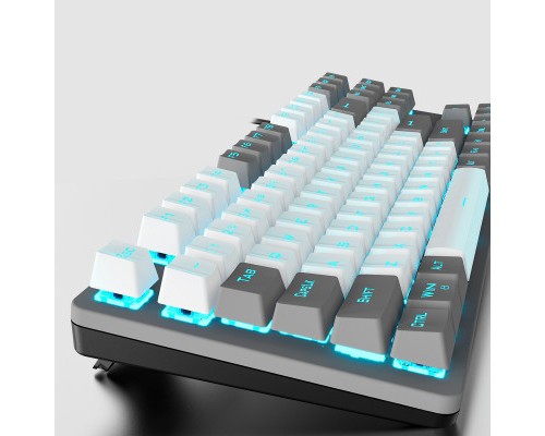 Клавіатура Aula F3287 Keycap KRGD Blue USB UA Grey/White (6948391240954)