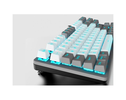 Клавіатура Aula F3287 Keycap KRGD Blue USB UA Grey/White (6948391240954)