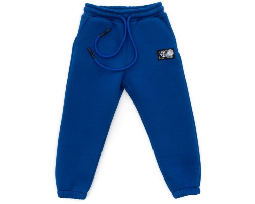 Штани дитячі Cloise спортивні флісові (CL0154024-152G-blue)