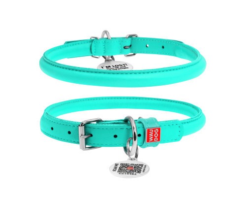Нашийник для тварин WAUDOG Glamour з QR паспортом, круглий, L ментоловий (350713)