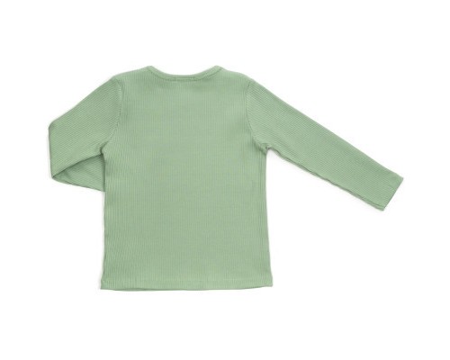 Кофта дитяча Breeze SHE IS MAGIC (19463-122G-green)