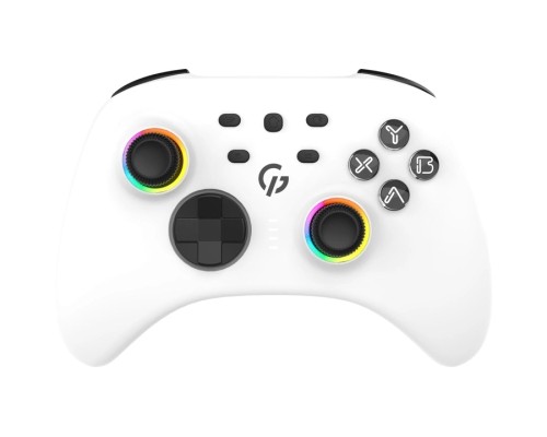 Геймпад GamePro GPX13W 2.4G/BT 5.1/USB/PC/iOS/Android RGB White (GPX13W)