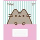Зошит Yes Pusheen Candy А5 18 аркушів лінія (767601)