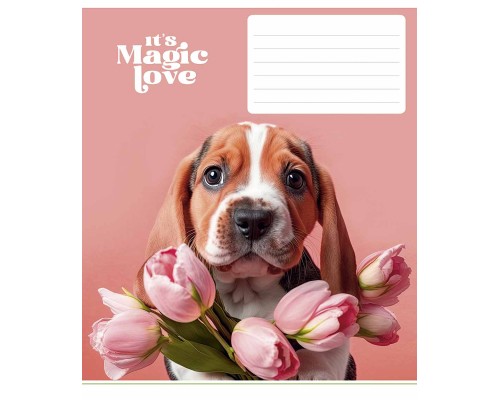 Зошит Школярик It's a magic love 12 аркушів лінія (012-3300L)