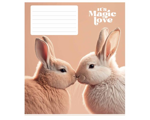 Зошит Школярик It's a magic love 12 аркушів лінія (012-3300L)