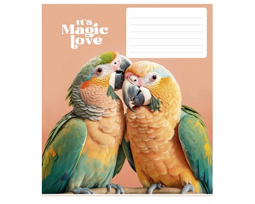 Зошит Школярик It's a magic love 12 аркушів лінія (012-3300L)
