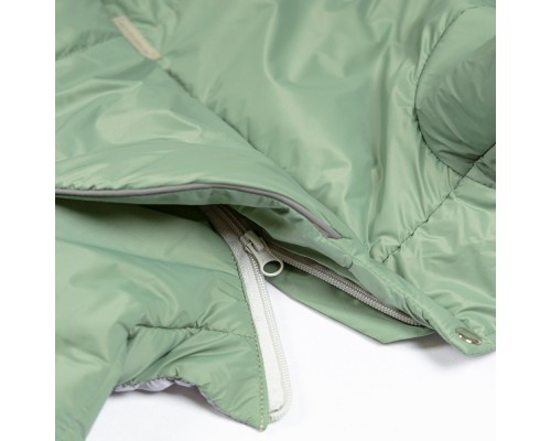 Костюм для тварин Pet Fashion Richi XS2 (4823082443789)