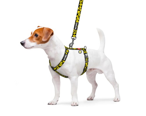 Шлея для собак WAUDOG Nylon анатомічна H-подібна з QR-паспортом 
