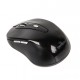 Мишка Gembird MUSW-6B-01-B Black (MUSW-6B-01)