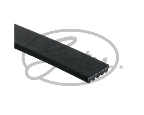 Поліклиновий ремінь Gates 5PK580