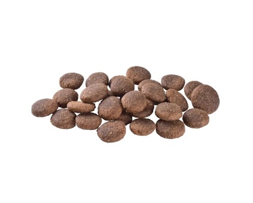 Сухий корм для собак Brit Care Dog Grain-free Adult Large Breed беззерновий з лососем 12 кг (8595602558896)