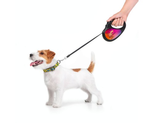 Повідок для собак WAUDOG R-leash Конотопські магічні війська світловідбиваюча стрічка L 5 м (8126-0232-01)