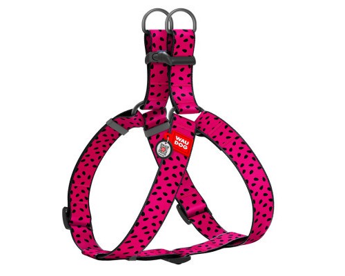 Шлея для собак WAUDOG Nylon з QR паспортом 