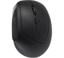 Мишка Canyon MW-25 LED Silent Wireless/Bluetooth Black (CNS-CMSW25)