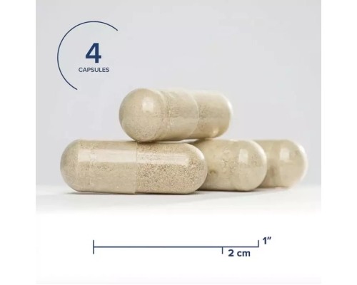 Вітамінно-мінеральний комплекс Seeking Health Поживні речовини для жовчного міхура, Gallbladder Nutrients, (SKH52151)