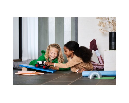 Конструктор LEGO Technic Monster Jam Monster Mutt Dalmatian 244 деталі (42150)