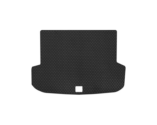 Килимок в багажник EVAtech Lexus RX 200t F-Sport FWD AT 2015-2017 4 по (LS41809B1RBB)