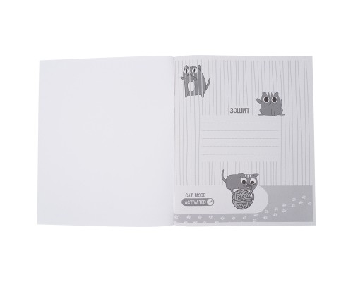 Зошит Kite предметний Cat 48 аркушів, клітинка алгебра (K23-240-24)