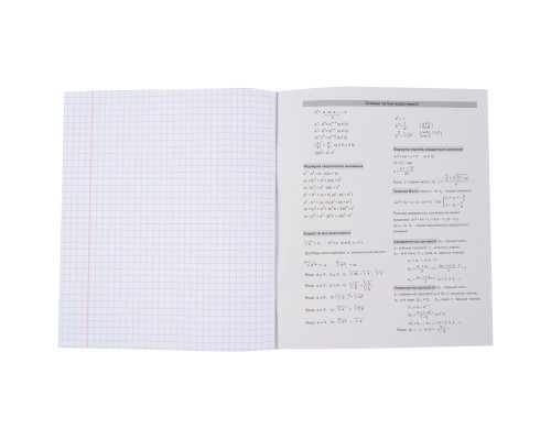 Зошит Kite предметний Cat 48 аркушів, клітинка алгебра (K23-240-24)