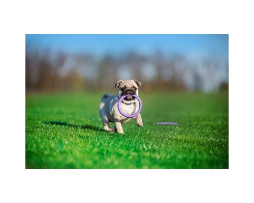 Іграшка для собак Puller Micro 13 см 2шт (6489)