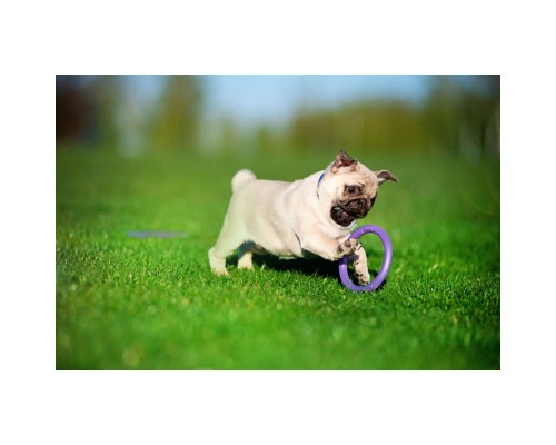 Іграшка для собак Puller Micro 13 см 2шт (6489)