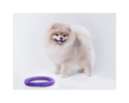 Іграшка для собак Puller Micro 13 см 2шт (6489)