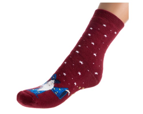 Шкарпетки дитячі Bross махрові з чарівником (10196-4-darkred)