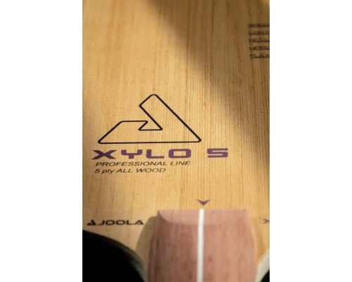 Основа для ракетки Joola XYLO 5 FL (65080) (931082)