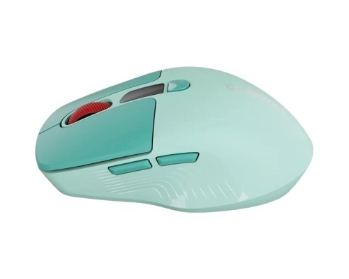 Мишка Canyon MW-26 LCD Silent Wireless/Bluetooth Green (CNS-CMSW26GR)