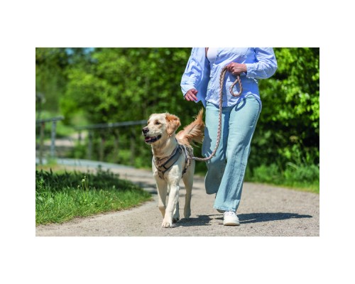 Нашийник для тварин Trixie Cavo напівзашморг XS–S 25–31 см d 12 мм рожево-пісочний (4053032678002)