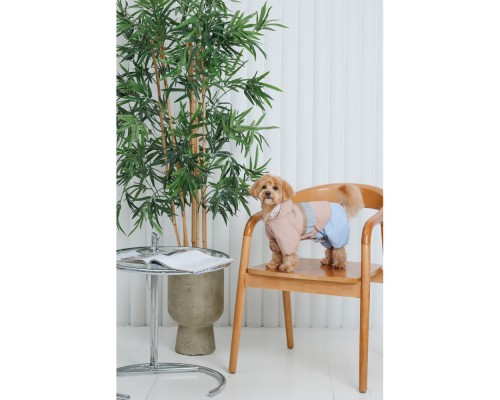 Дощовик для тварин Pet Fashion Tina S бежевий/блакитний (4823082435159)